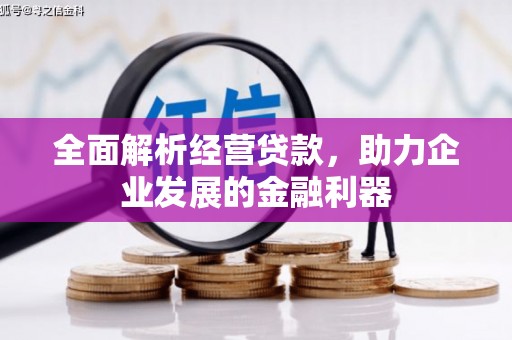 泉州全面解析经营贷款，助力企业发展的金融利器