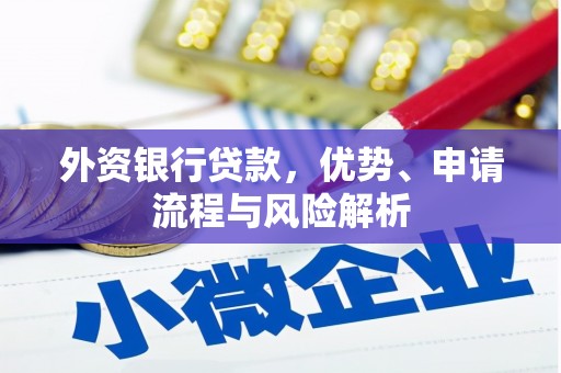 泉州外资银行贷款，优势、申请流程与风险解析
