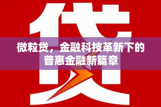 泉州微粒贷，金融科技革新下的普惠金融新篇章