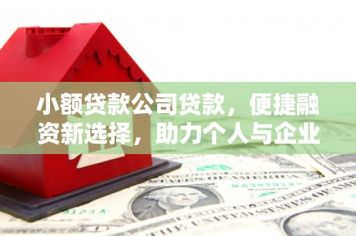泉州小额贷款公司贷款，便捷融资新选择，助力个人与企业成长