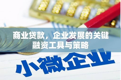 泉州商业贷款，企业发展的关键融资工具与策略