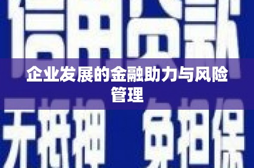 泉州企业发展的金融助力与风险管理