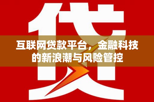 泉州互联网贷款平台，金融科技的新浪潮与风险管控