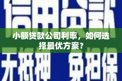 泉州小额贷款公司利率，如何选择最优方案？