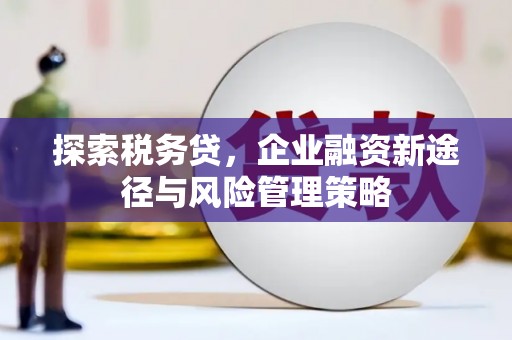 泉州探索税务贷，企业融资新途径与风险管理策略