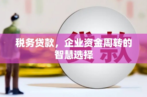 泉州税务贷款，企业资金周转的智慧选择