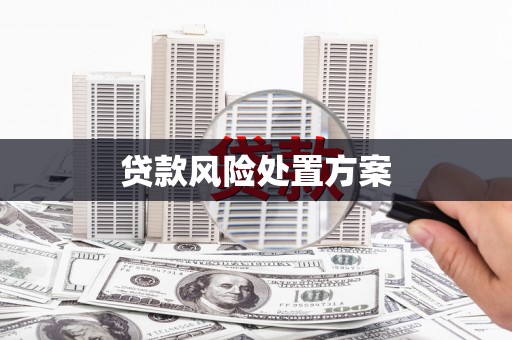 泉州贷款风险处置方案