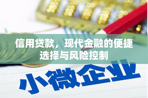 泉州信用贷款，现代金融的便捷选择与风险控制