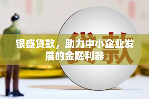 泉州银盛贷款，助力中小企业发展的金融利器