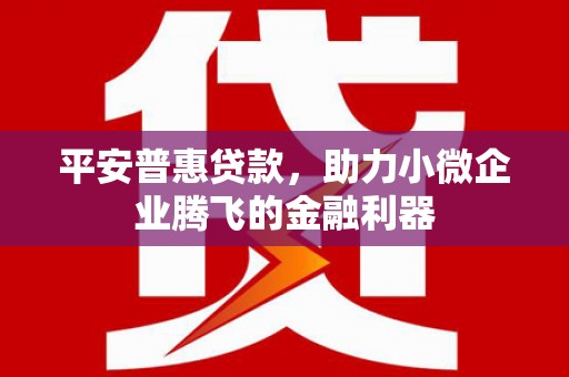 泉州平安普惠贷款，助力小微企业腾飞的金融利器
