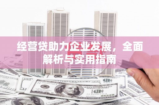 泉州经营贷助力企业发展，全面解析与实用指南