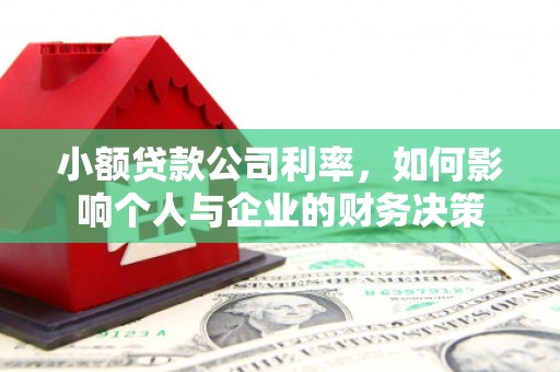 泉州小额贷款公司利率，如何影响个人与企业的财务决策