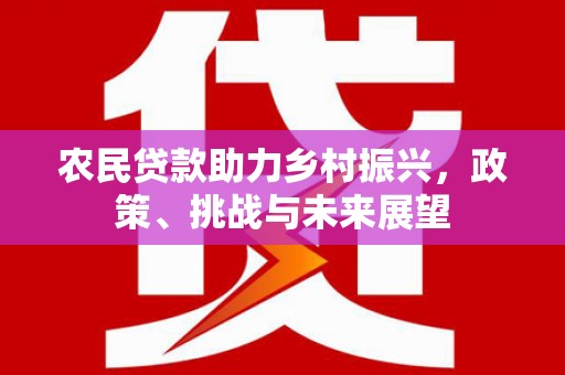泉州农民贷款助力乡村振兴，政策、挑战与未来展望