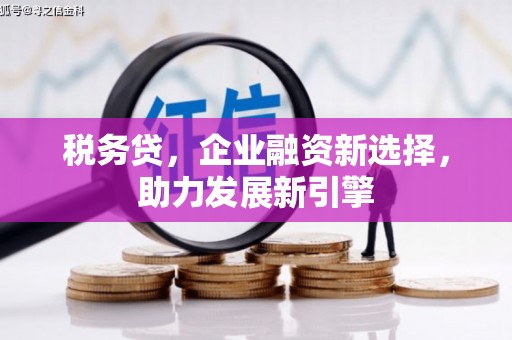 泉州税务贷，企业融资新选择，助力发展新引擎