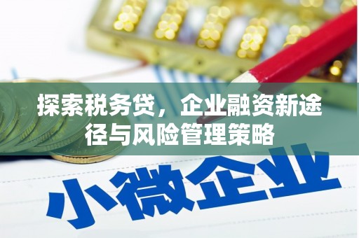 泉州探索税务贷，企业融资新途径与风险管理策略