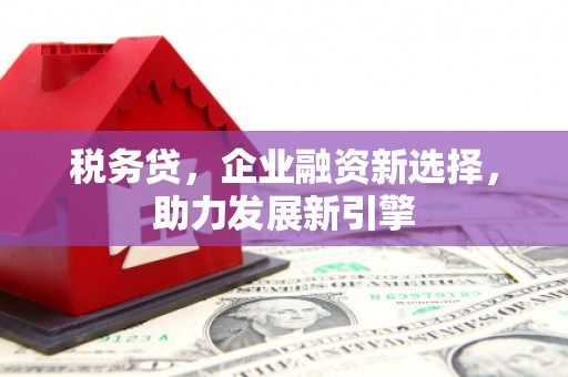 泉州税务贷，企业融资新选择，助力发展新引擎