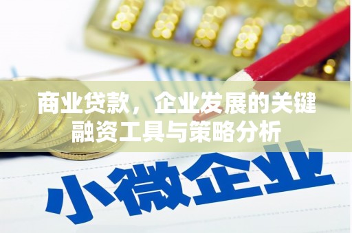 泉州商业贷款，企业发展的关键融资工具与策略分析