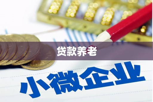 泉州贷款养老