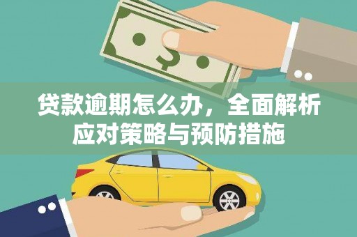 泉州贷款逾期怎么办，全面解析应对策略与预防措施