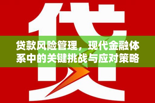 泉州贷款风险管理，现代金融体系中的关键挑战与应对策略