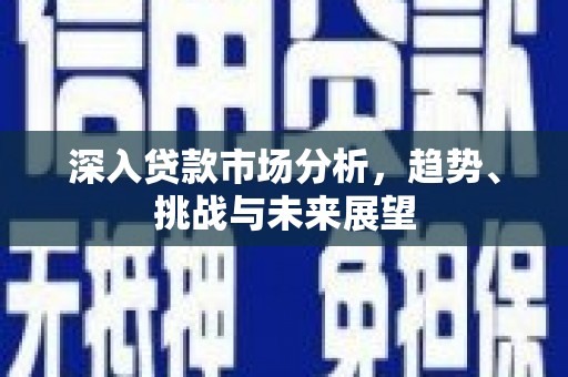 泉州深入贷款市场分析，趋势、挑战与未来展望