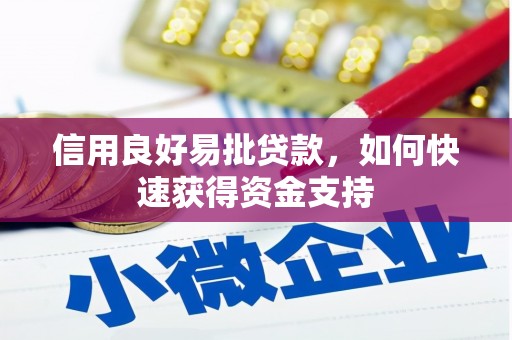 泉州信用良好易批贷款，如何快速获得资金支持