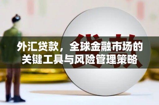 泉州外汇贷款，全球金融市场的关键工具与风险管理策略