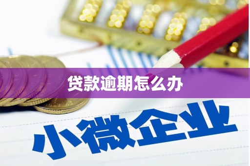 泉州贷款逾期怎么办