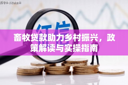 泉州畜牧贷款助力乡村振兴，政策解读与实操指南