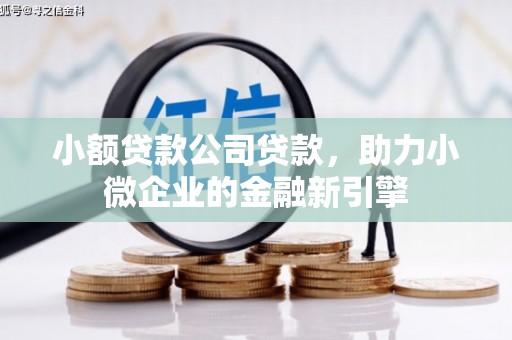 泉州小额贷款公司贷款，助力小微企业的金融新引擎