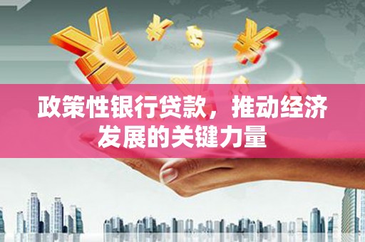 泉州政策性银行贷款，推动经济发展的关键力量