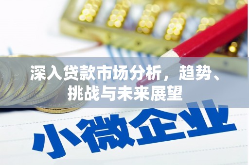 泉州深入贷款市场分析，趋势、挑战与未来展望