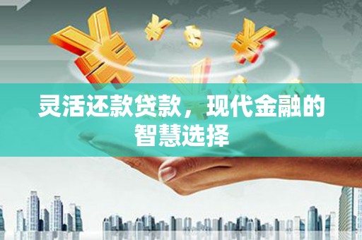 泉州灵活还款贷款，现代金融的智慧选择