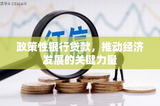 泉州政策性银行贷款，推动经济发展的关键力量