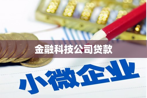 泉州金融科技公司贷款