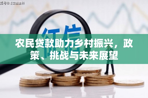 泉州农民贷款助力乡村振兴，政策、挑战与未来展望