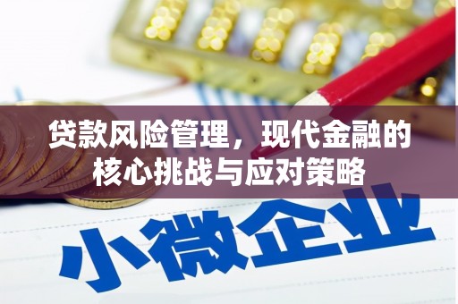 泉州贷款风险管理，现代金融的核心挑战与应对策略