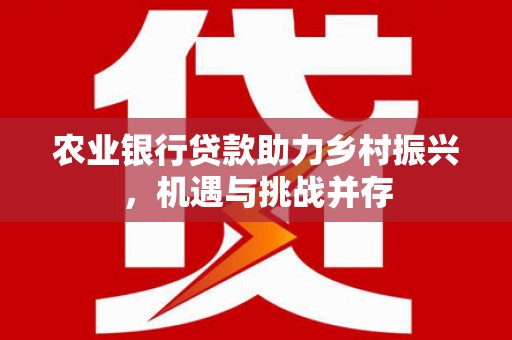 泉州农业银行贷款助力乡村振兴，机遇与挑战并存