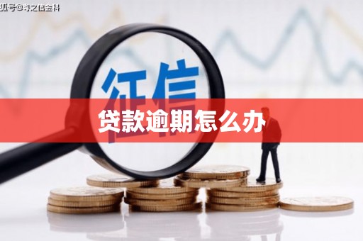 泉州贷款逾期怎么办