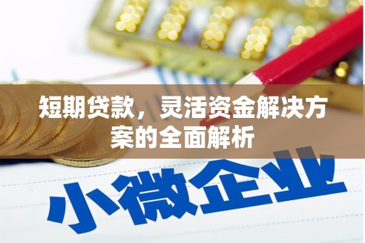 泉州短期贷款，灵活资金解决方案的全面解析