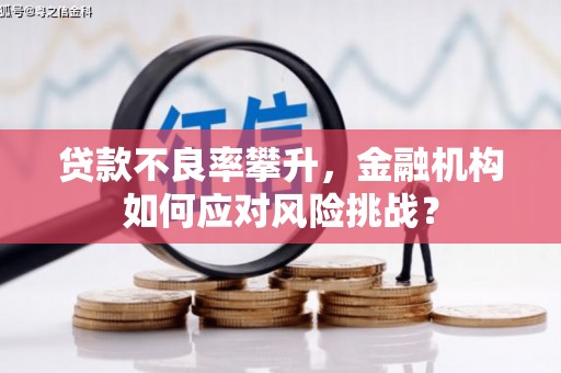 泉州贷款不良率攀升，金融机构如何应对风险挑战？