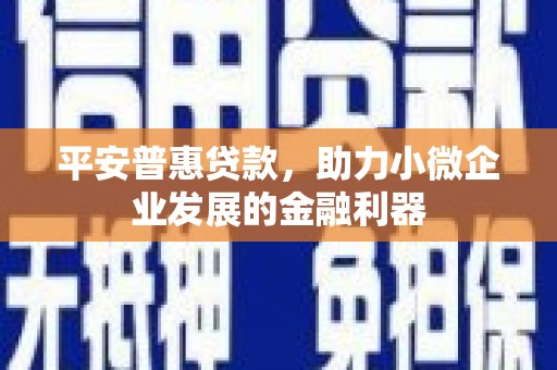 泉州平安普惠贷款，助力小微企业发展的金融利器