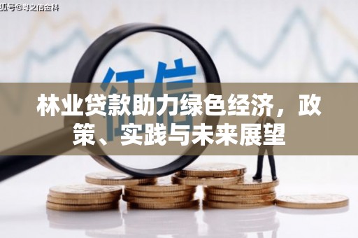 泉州林业贷款助力绿色经济，政策、实践与未来展望