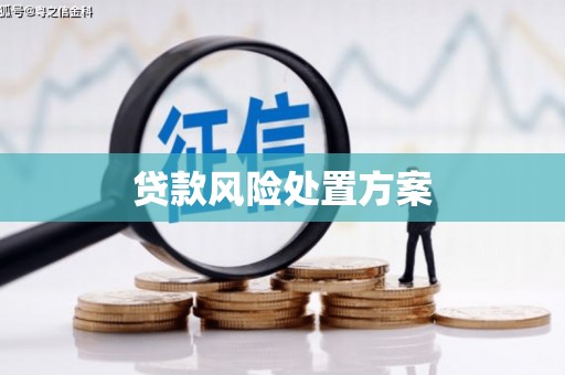 泉州贷款风险处置方案