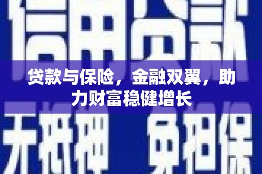 泉州贷款与保险，金融双翼，助力财富稳健增长