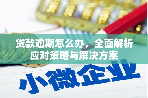 泉州贷款逾期怎么办，全面解析应对策略与解决方案